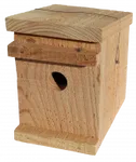 Standard Dormouse Nest Box