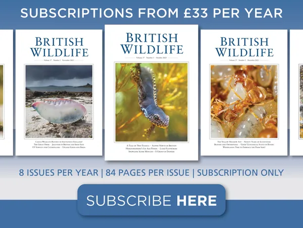British Wildlife Magazine
