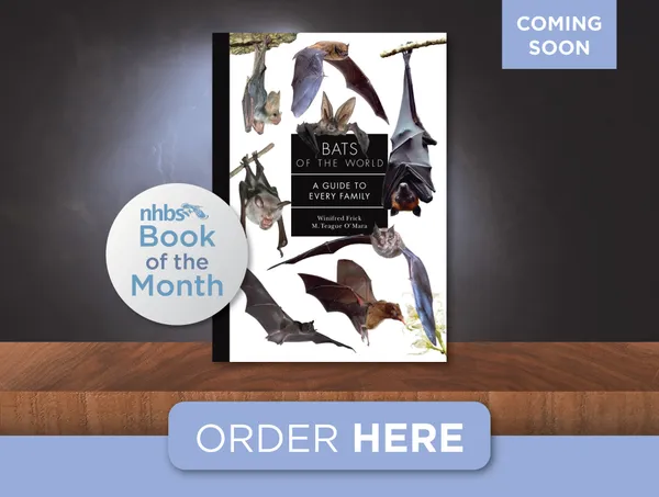 Book of the month